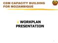 CDM CAPACITY BUILDING FOR MOZAMBIQUE PowerPoint PPT Presentation