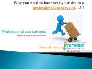 professional seo services