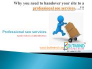 professional seo services (1)