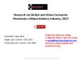 Electronics Lithium Battery Industry Research Report in China 2017 (1)