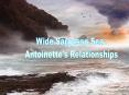 Wide Sargasso Sea PowerPoint PPT Presentation