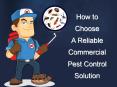 How to Choose a Reliable Commercial Pest Control Solution PowerPoint PPT Presentation