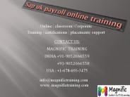 sap uk payroll online training in sweden