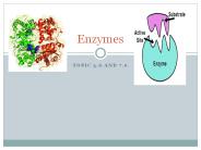 Enzymes