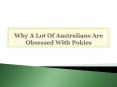 Why A Lot Of Australians Are Obsessed With Pokies PowerPoint PPT Presentation