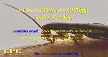 Is Central Pest control Right Choice For You
