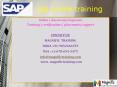 SAP GTS ONLINE TRAINING USA,UK AND CANADA PowerPoint PPT Presentation