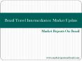 Brazil Travel Intermediaries: Market Update PowerPoint PPT Presentation