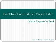 Brazil Travel Intermediaries: Market Update