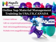 Online Sap Material Management Training In USA,UK,CANADA