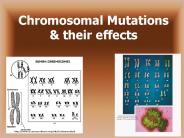 Chromosomal Mutations
