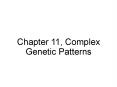 Chapter 11, Complex Genetic Patterns PowerPoint PPT Presentation