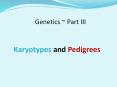Karyotypes and Pedigrees PowerPoint PPT Presentation