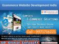Ecommerce Website Development company India PowerPoint PPT Presentation