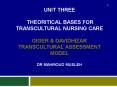 UNIT THREE  THEORITICAL BASES FOR TRANSCULTURAL Nursing CARE  Giger PowerPoint PPT Presentation