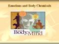 Emotions and Body Chemicals PowerPoint PPT Presentation