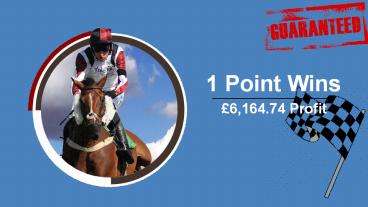 1 Point Wins System Review