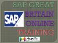 sap great britain payroll online training PowerPoint PPT Presentation