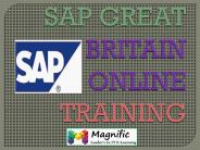 sap great britain payroll online training
