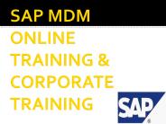 sap mdm training online in india