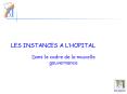LES INSTANCES A L PowerPoint PPT Presentation