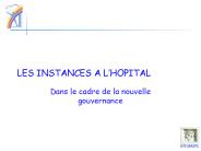LES INSTANCES A L