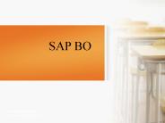 Online sap bo training