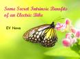 Some Secret Intrinsic Benefits of an Electric Bike PowerPoint PPT Presentation
