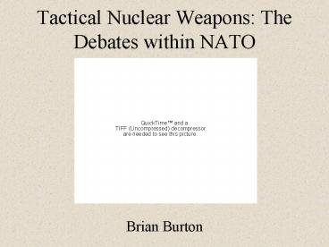 Tactical Nuclear Weapons: The Debates within NATO