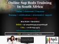 Online sap bods training in southáfrica PowerPoint PPT Presentation