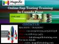 Online Sap Testing Training In Canada,Pune PowerPoint PPT Presentation