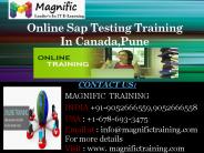 Online Sap Testing Training In Canada,Pune