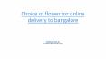 Online flower delivery to bangalore PowerPoint PPT Presentation