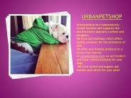 Modern And Handcrafted Toys For Dogs
