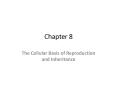 The Cellular Basis of Reproduction and Inheritance PowerPoint PPT Presentation