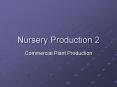 Nursery Production 2 PowerPoint PPT Presentation