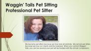 pet sitter Colorado Springs