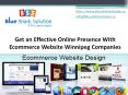 Get an effective online presence with ecommerce website Winnipeg companies: PowerPoint PPT Presentation