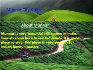 Munnar City Guide