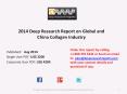 Collagen Industry in China & Global Research Report 2014 PowerPoint PPT Presentation