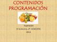 CONTENIDOS PROGRAMACI PowerPoint PPT Presentation
