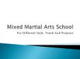 Mixed Martial Arts Training PowerPoint PPT Presentation