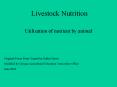 Livestock Nutrition PowerPoint PPT Presentation