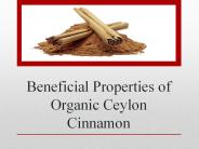 Beneficial Properties of Organic Ceylon Cinnamon