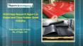 Research Report on Global and China Rubber Sheet Market 2014 PowerPoint PPT Presentation