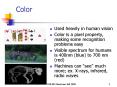 Color PowerPoint PPT Presentation