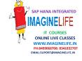 SAP HANA Integrated Online Training in Hyderabad | Bangalore (1) PowerPoint PPT Presentation