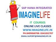 SAP HANA Integrated Online Training