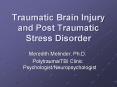 Traumatic Brain Injury and Post Traumatic Stress Disorder PowerPoint PPT Presentation