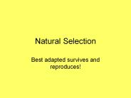 Natural Selection